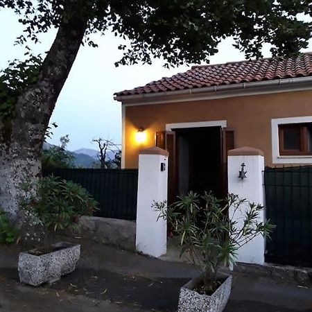 Petit Coin De Paradis Évisa Buitenkant foto