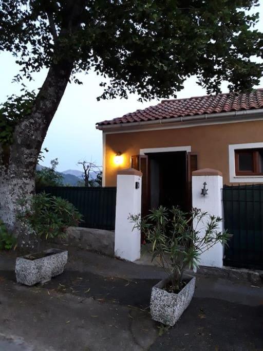 Petit Coin De Paradis Évisa Buitenkant foto